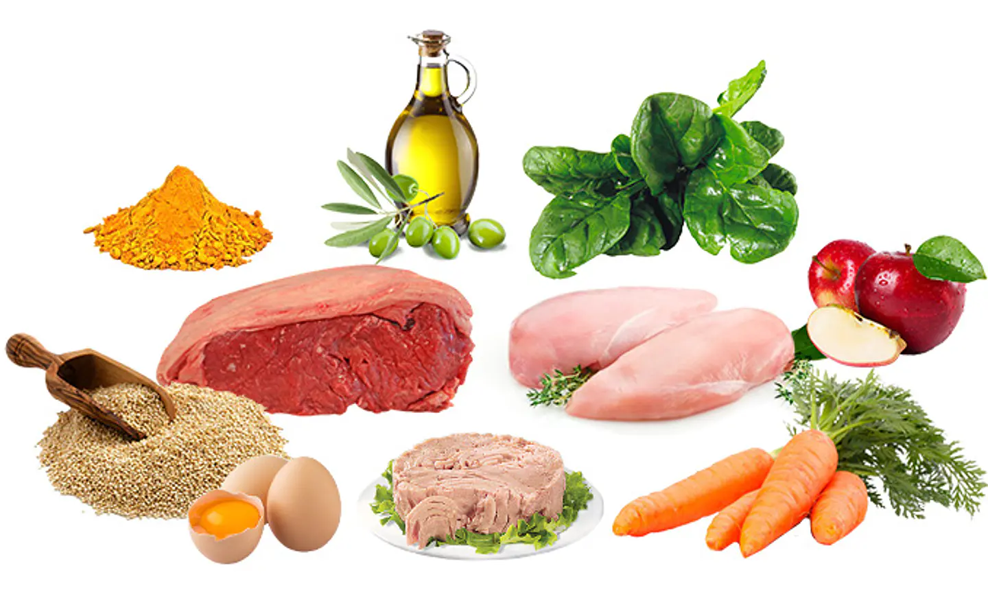 Ama Para Gatos Adultos 200grs   2