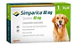 Simparica - Contra Pulgas - Garrapatas - Sarna - Miniatura 3