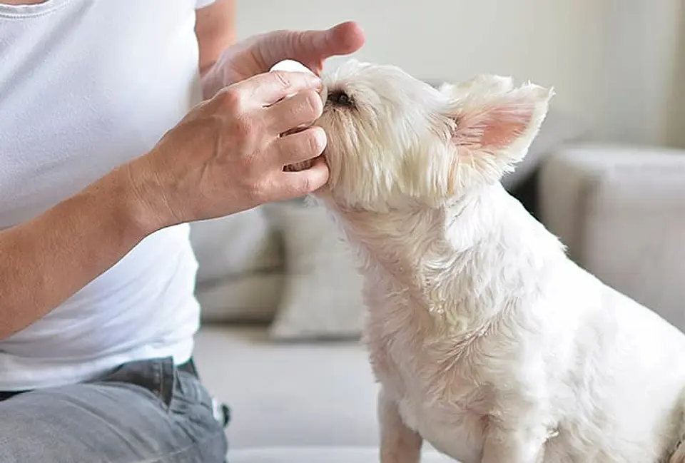 Limpiador de Lagrimas Para Perro y Gato 100ml 2