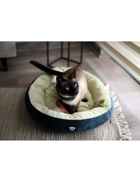 Cama Palta Lover Talla M (Canjea Hasta 5000PB)