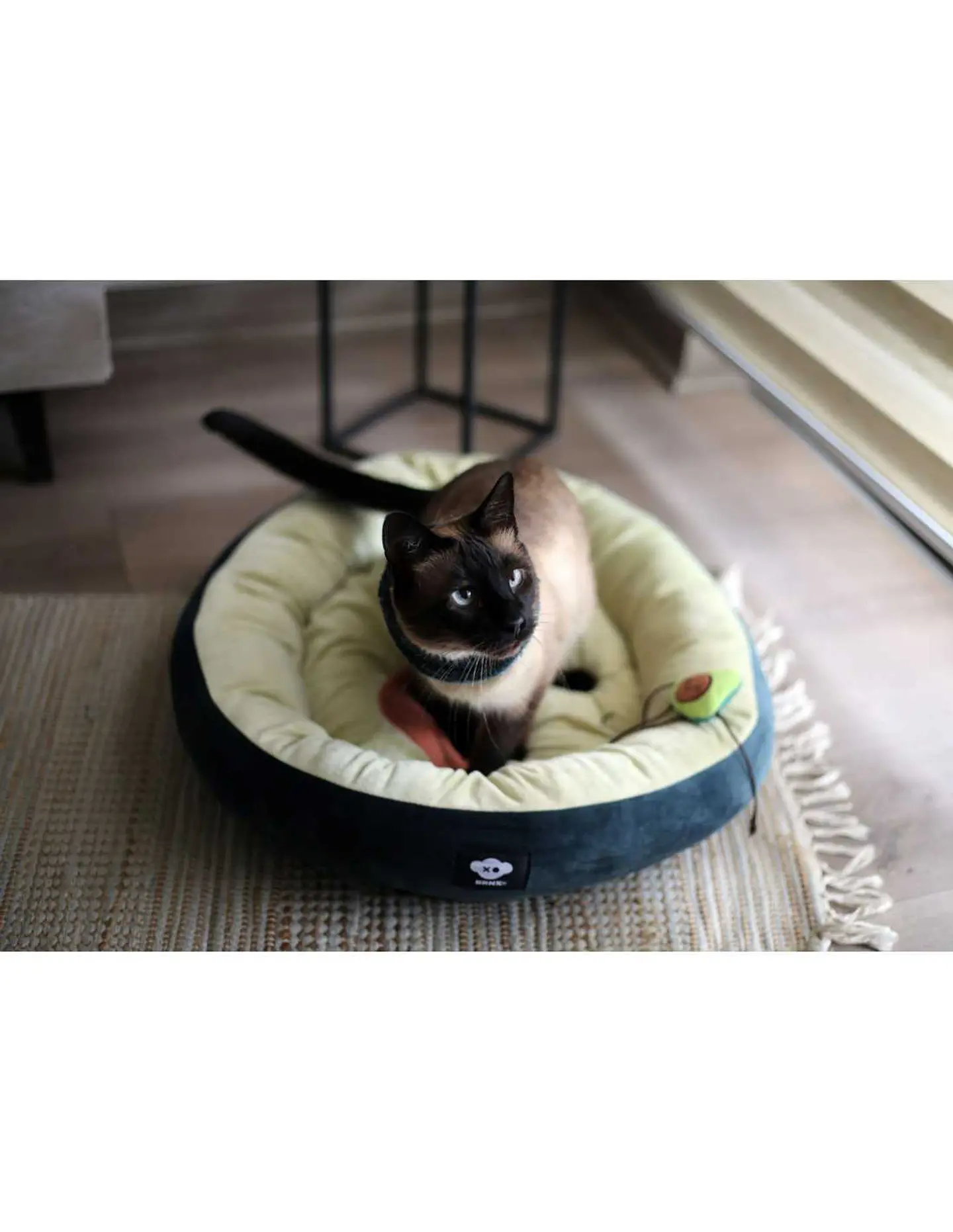 Cama Palta Lover Talla M (Canjea Hasta 5000PB) 1