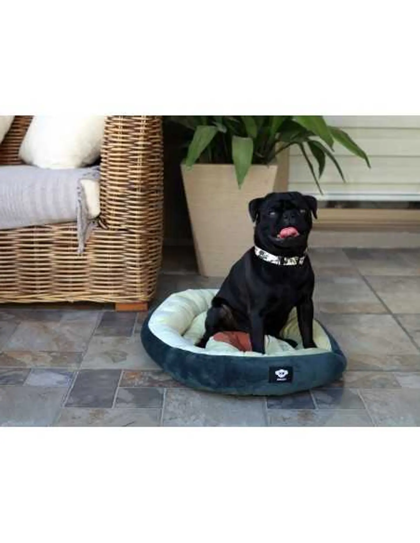 Cama Palta Lover Talla M (Canjea Hasta 5000PB) 4