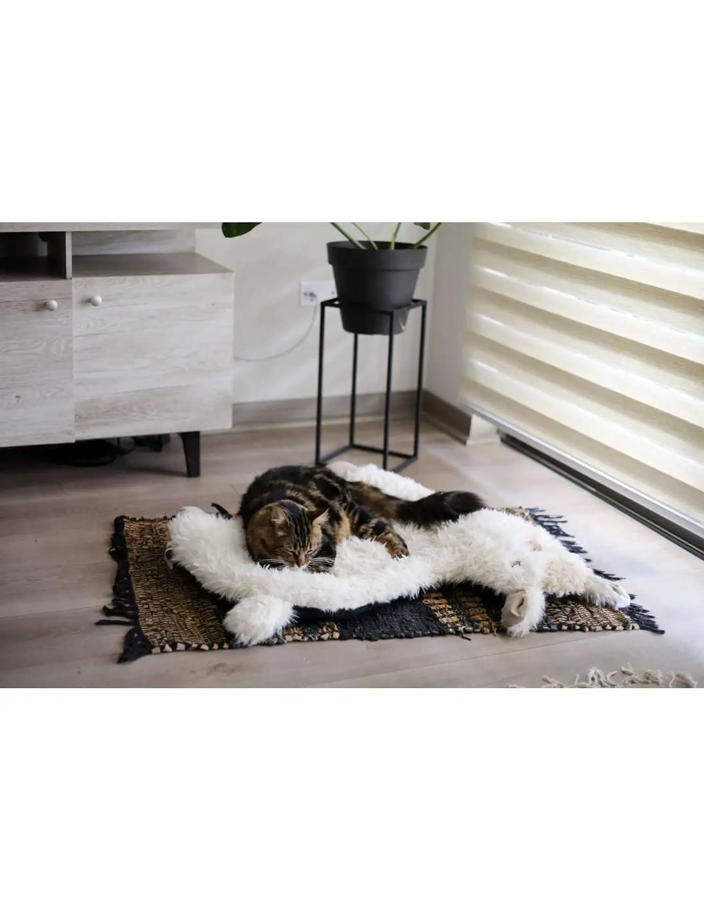 Cama Chiporro Cama Talla L  1