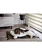 Cama Chiporro Cama Talla L  - Miniatura 1