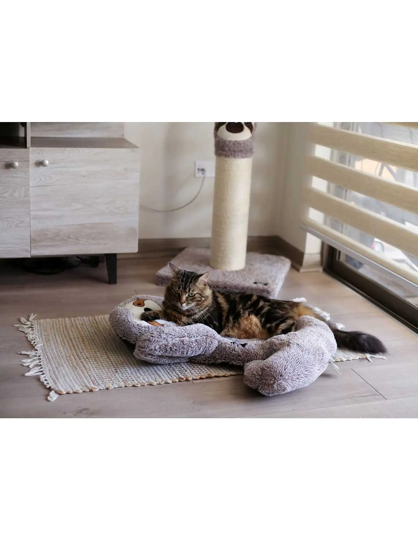 Cama Perezoso Anti-Estres Talla M  2