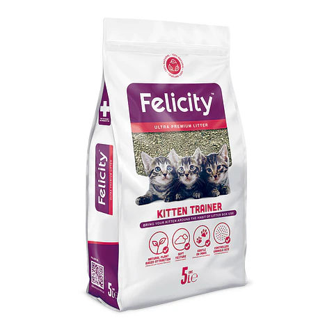Felicity Kitten Trainer 4K 