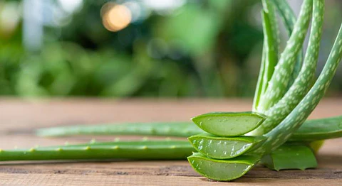 Toallitas Humedas Aloe Vera 15 Unidades 