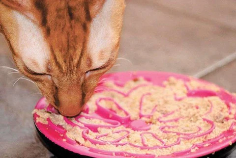Comedero Interactivo Para Gatos 