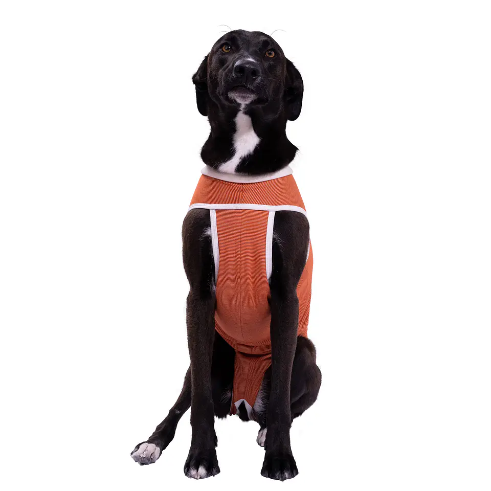 Body De Cobre Para Perros y Gatos  2
