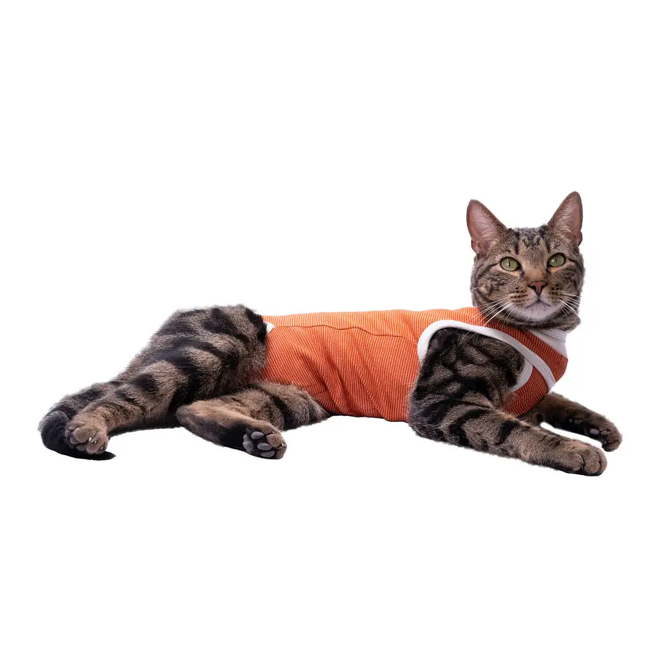 Body De Cobre Para Perros y Gatos  1