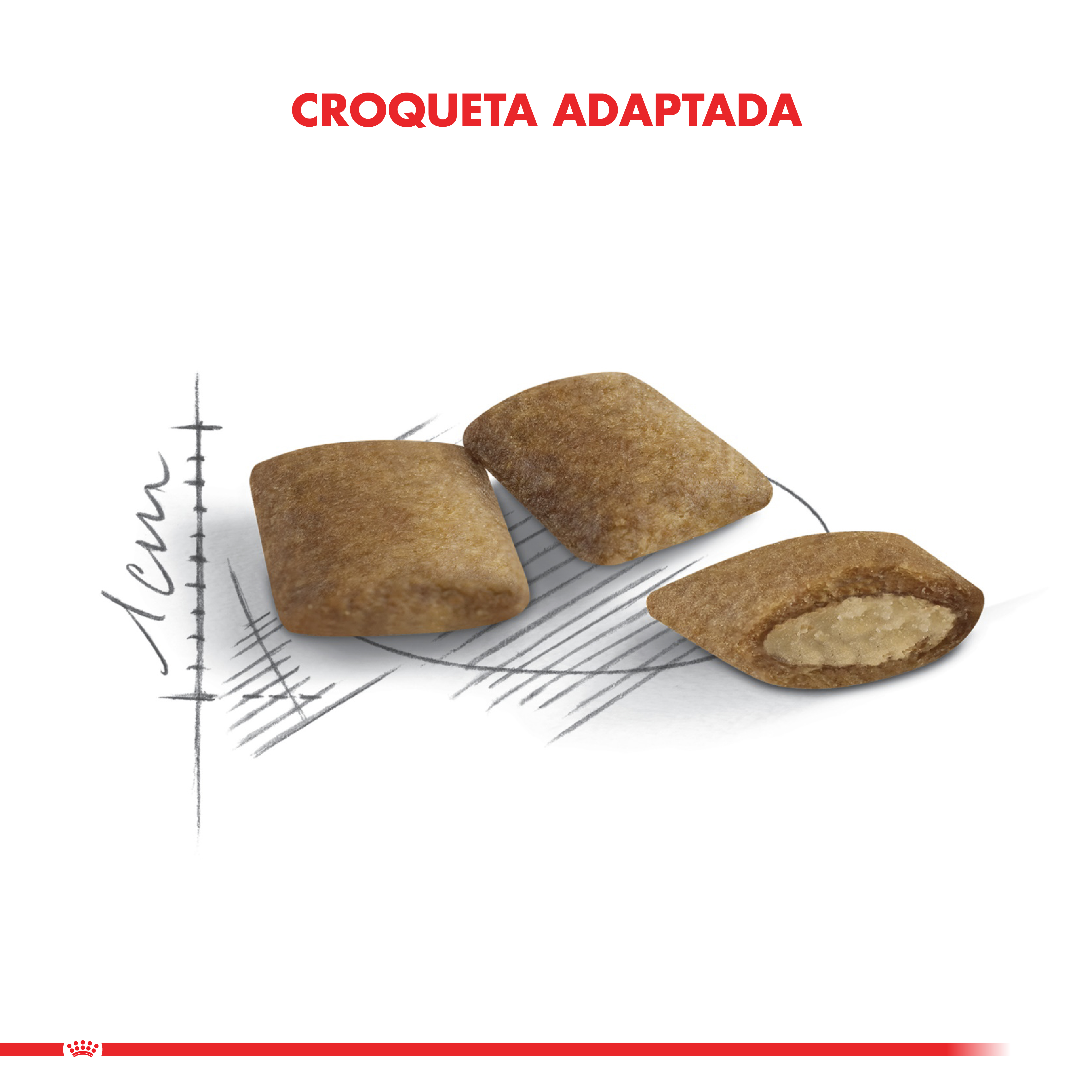 Royal Canin Ageing 12+ Cat 2 Kg 2