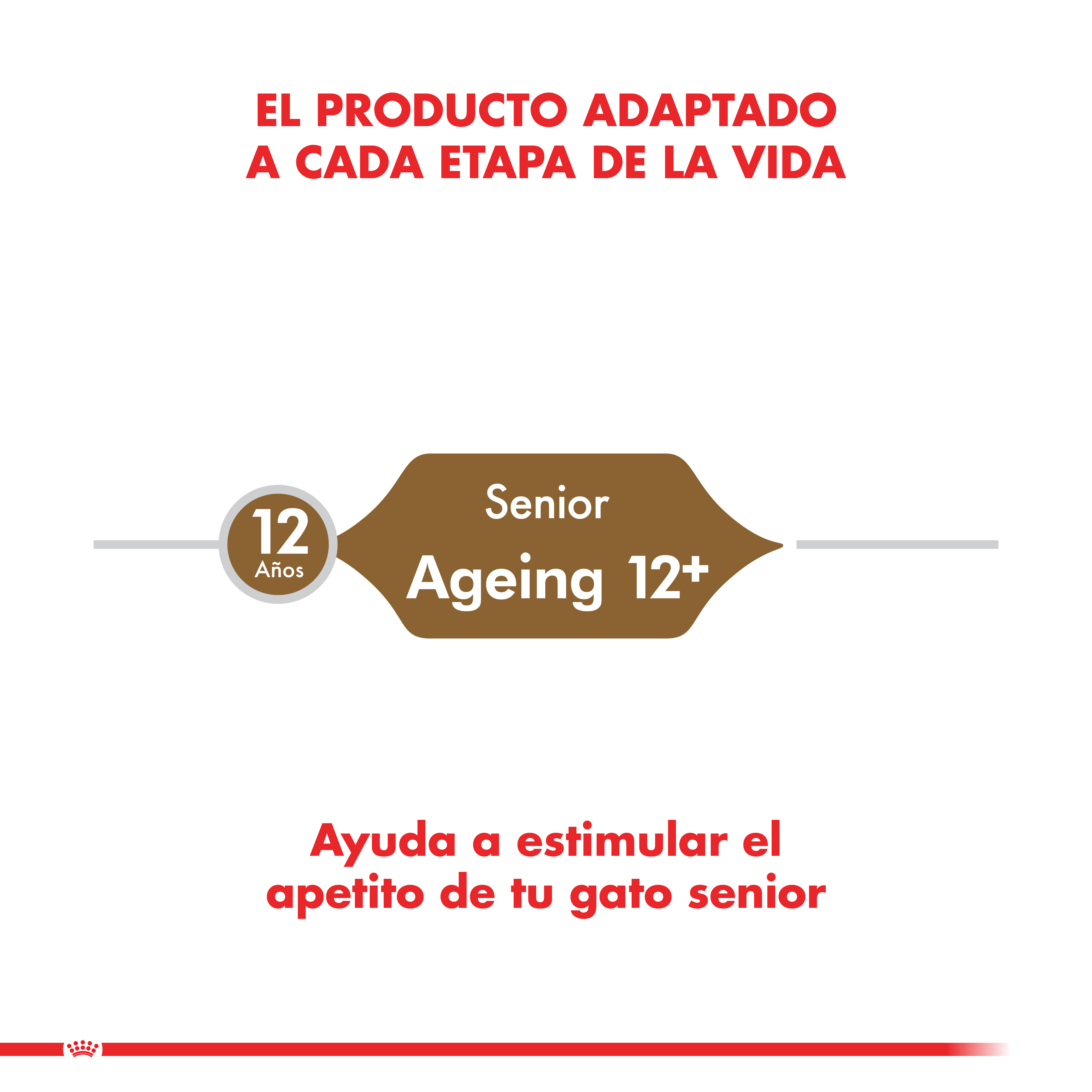 Royal Canin Ageing 12+ Cat 2 Kg 4