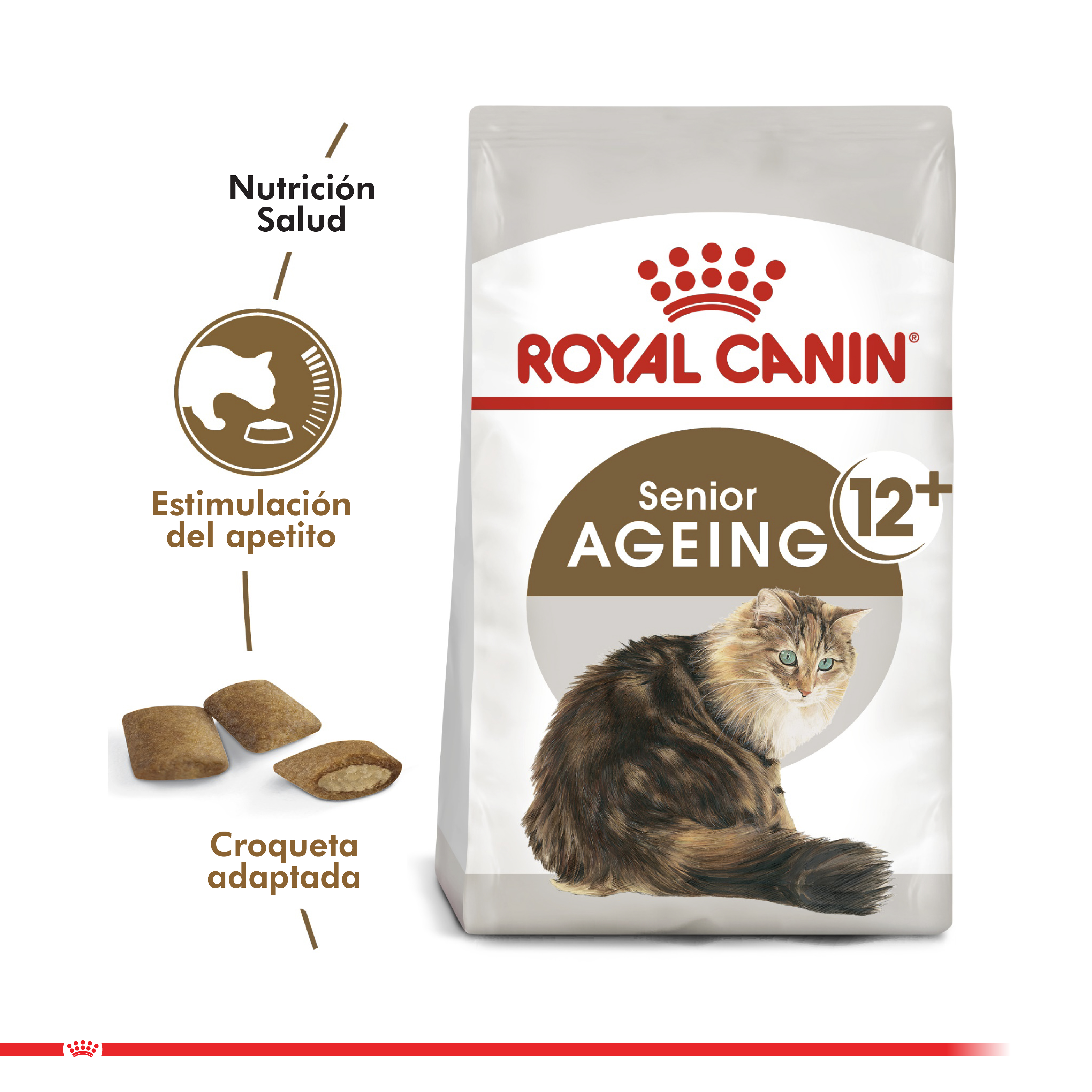 Royal Canin Ageing 12+ Cat 2 Kg 1