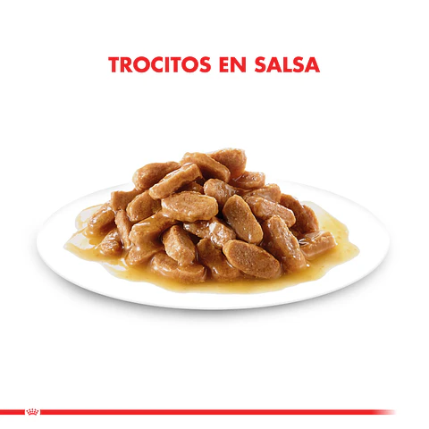 Royal Canin Mini Puppy Pouch 85 GRS