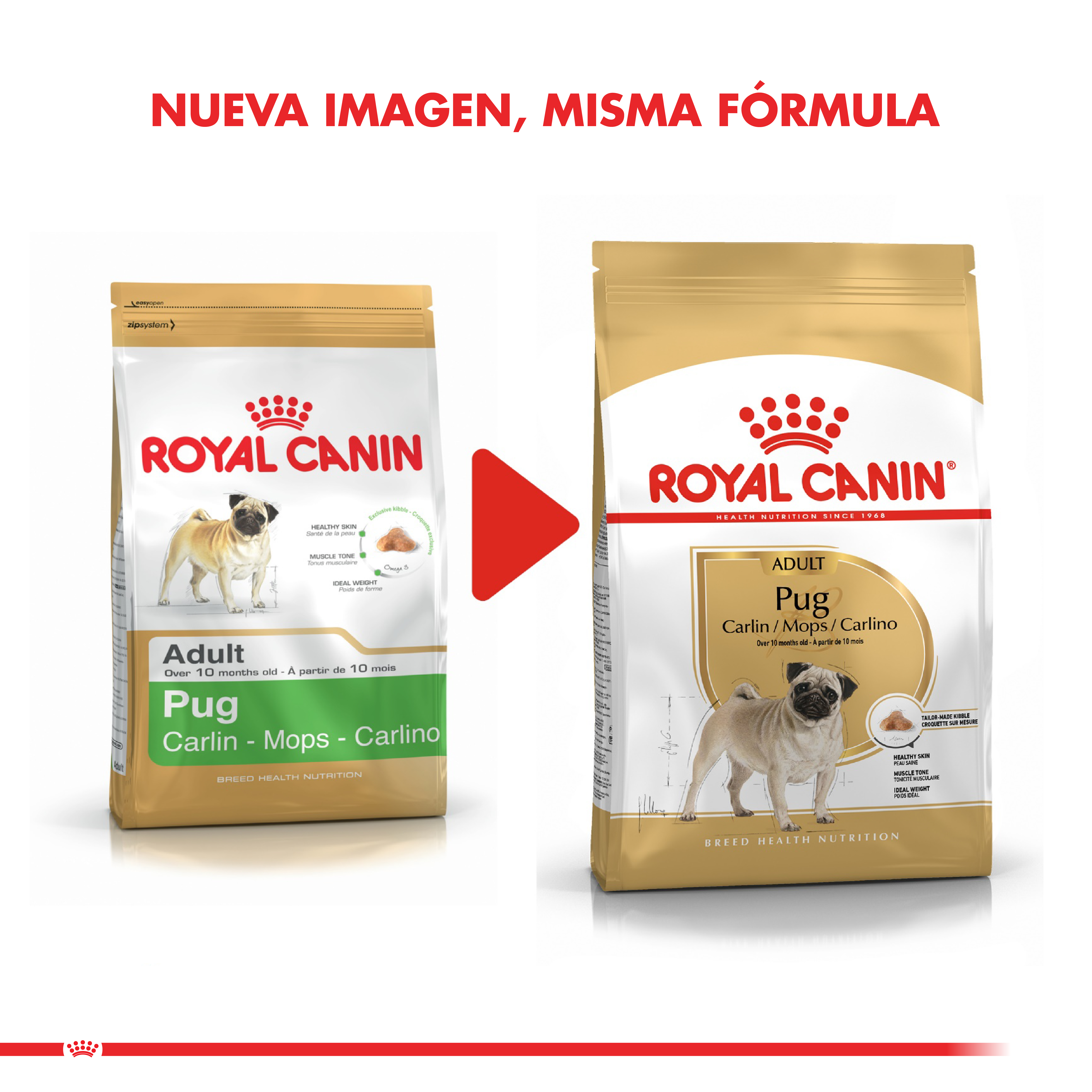 Royal Canin Alimento Seco Pug Adult 2,5 Kg | Bio Pet Shop -Tienda de  Mascotas