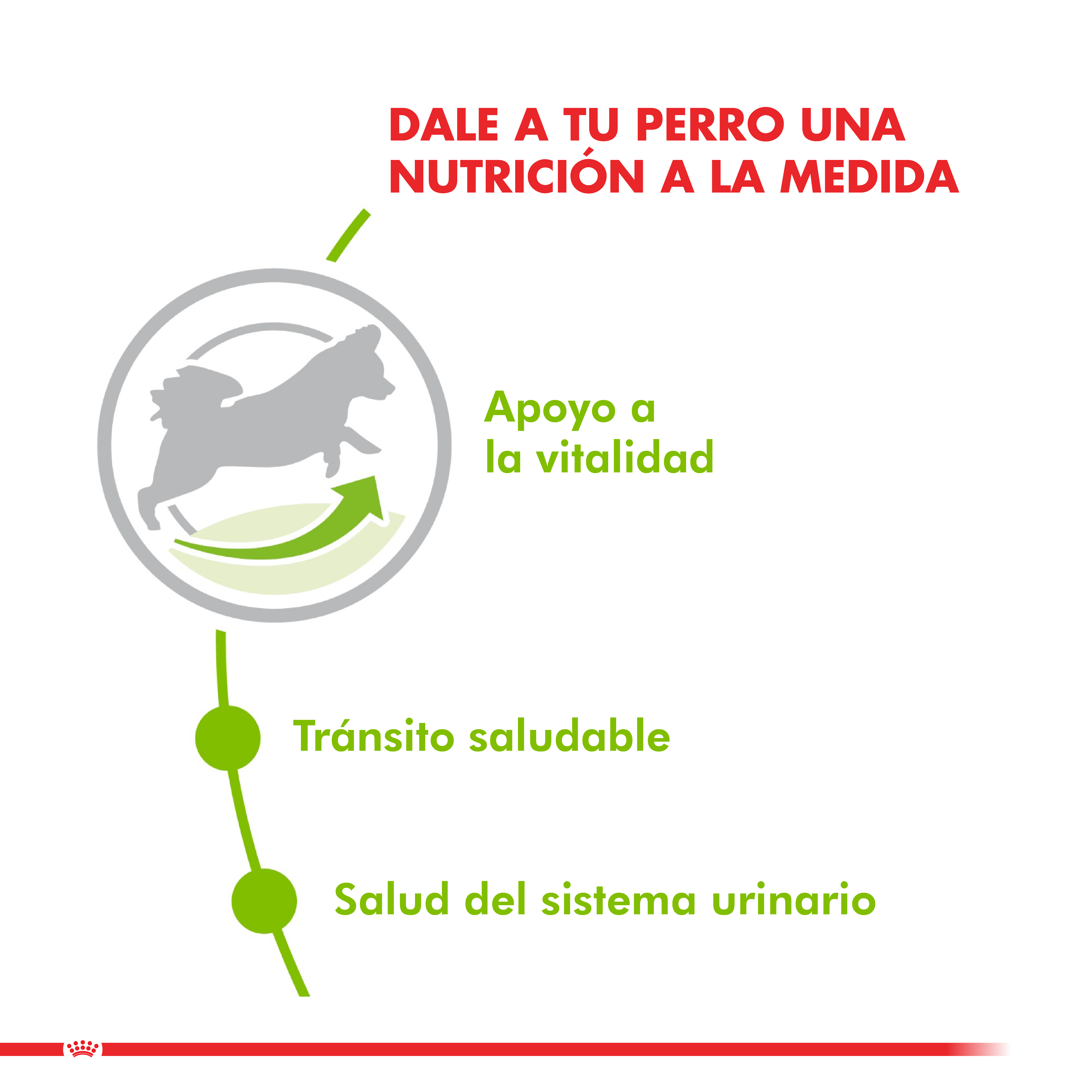 Royal canin alimento seco perro adulto x-Small adult 2,5 Kg 2