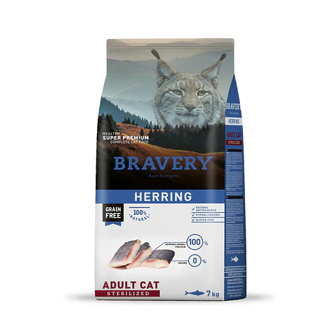 Bravery gato Esterilizado Herring