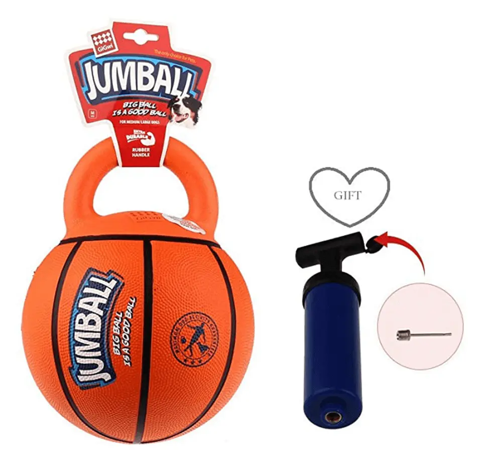 Pelota Jumball Con Mango  1