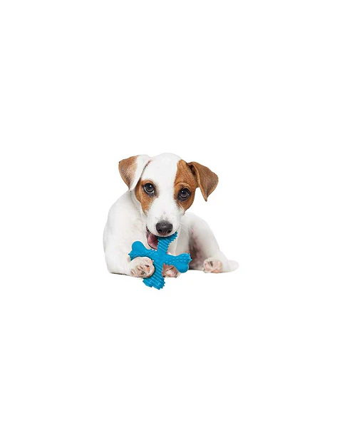 Nylabon Mordedores Extremos Azul Talla L