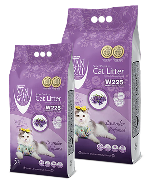 Van Cat Lavanda 10K