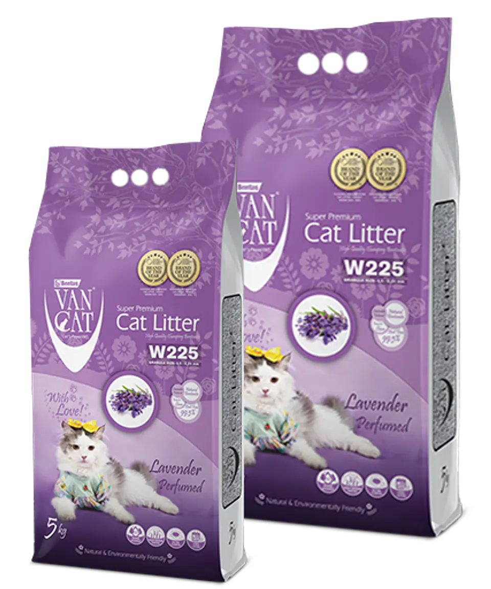 Van Cat Lavanda 10K 1