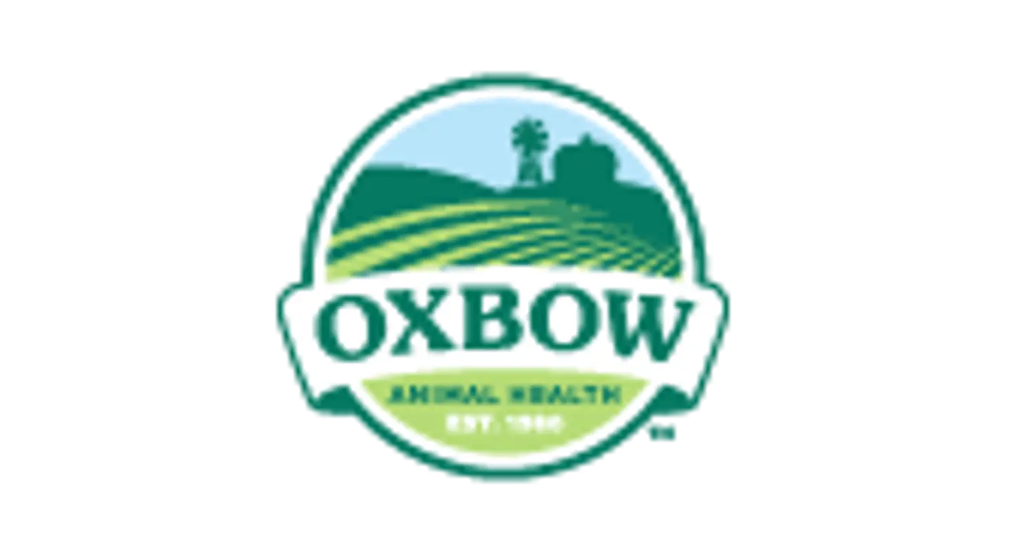 Varas de Heno Timothy   2