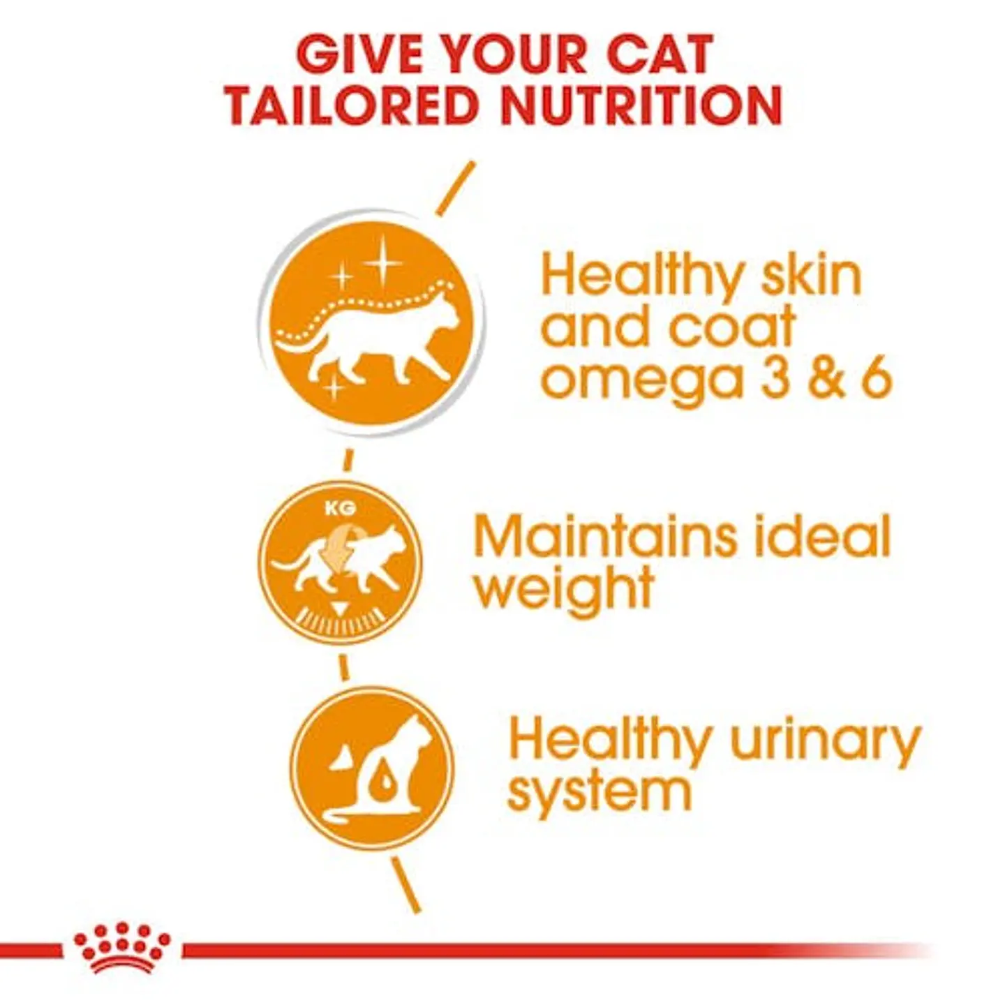ROYAL CANIN POUCH GATO INTENSE BEAUTY 85 G  2
