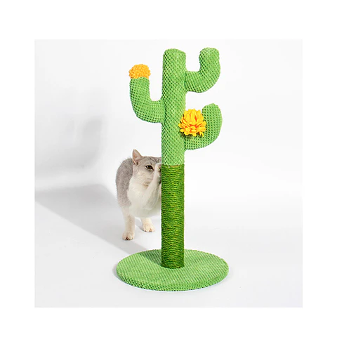 Rascador Forma De Cactus 