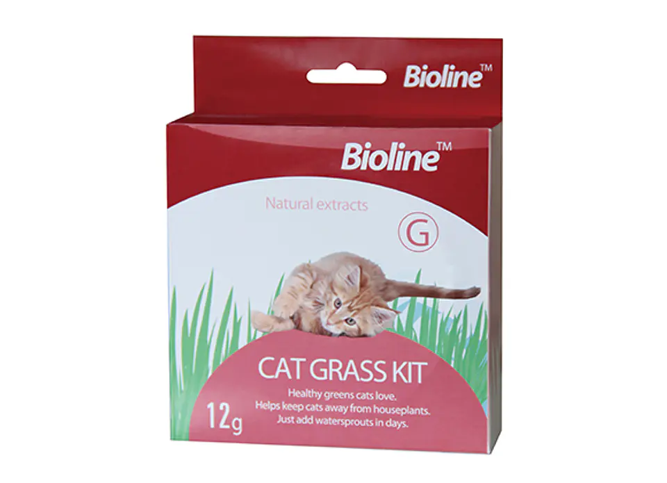 Kit de pasto para gatos Bioline  1