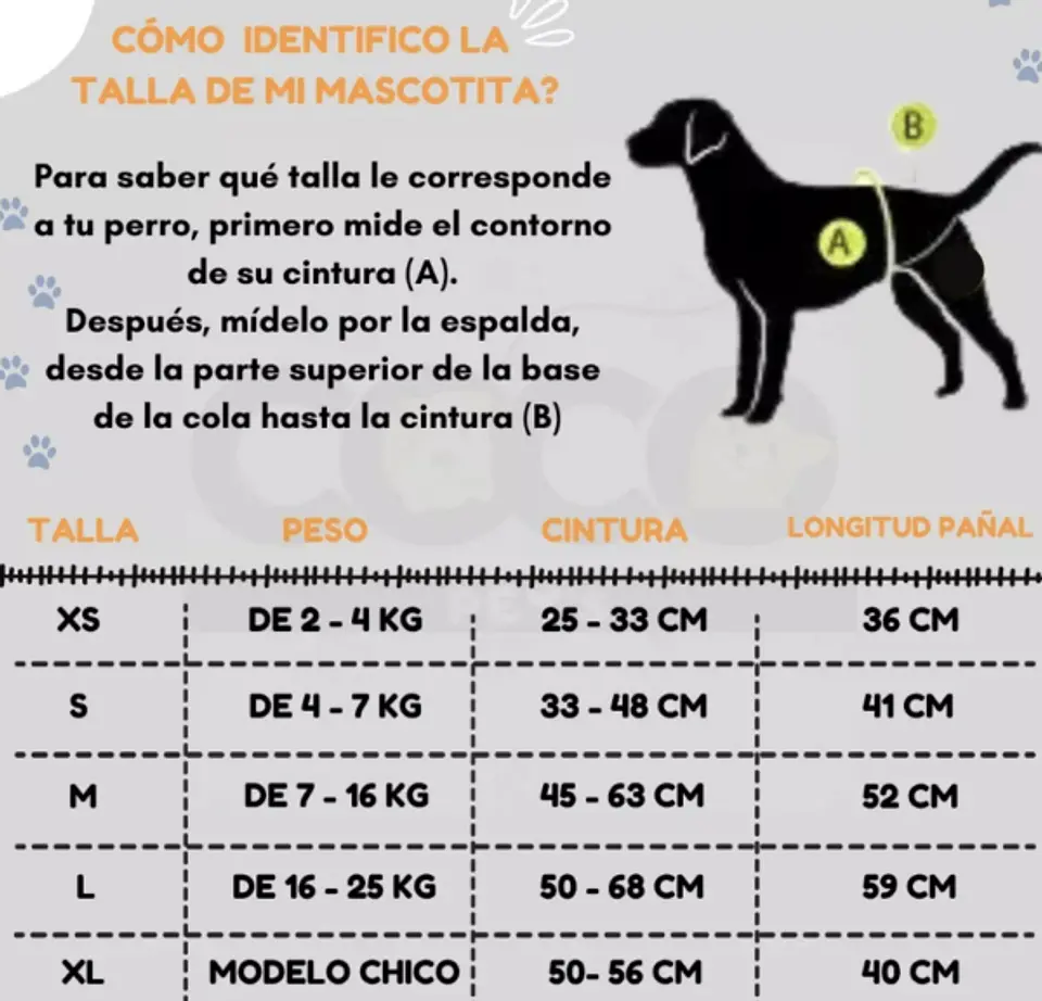 Pañal para perros THXPET 4