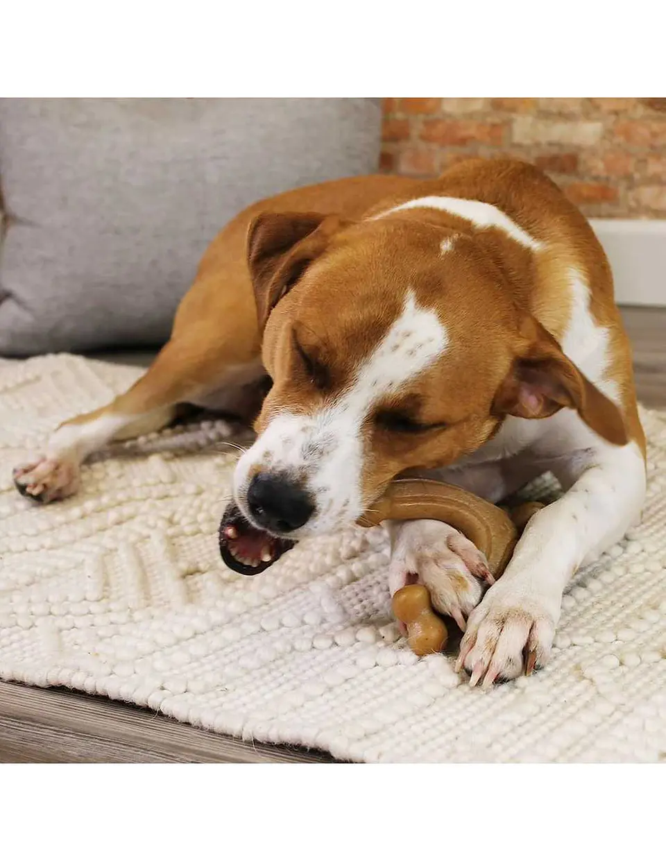 Nylabone Strong Gourmet Ultra Strong  2