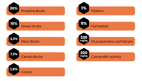 Amity Adulto Bajo en Granos Salmon 4K