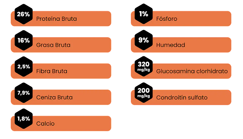 Amity Adulto Bajo en Granos Salmon 4K 2