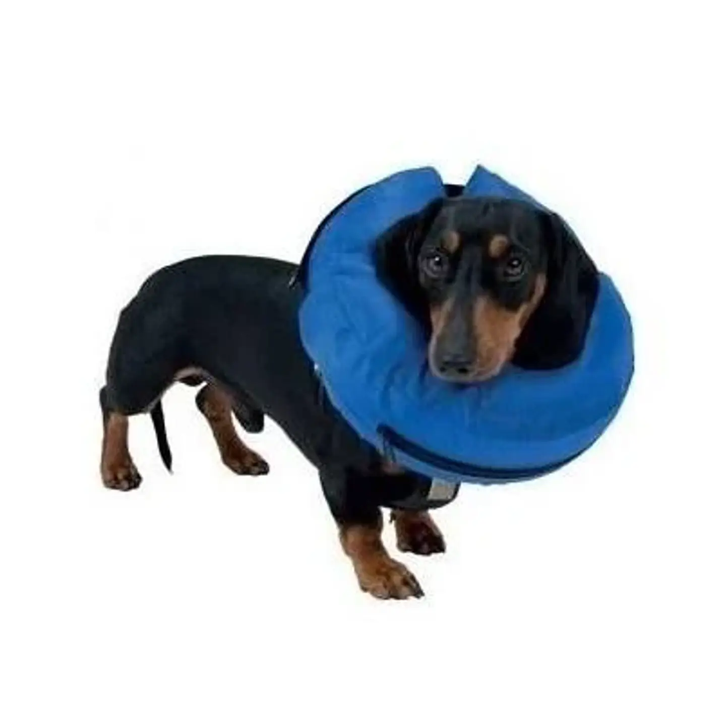 Collar de Protección Inflable  Marben Pet 1