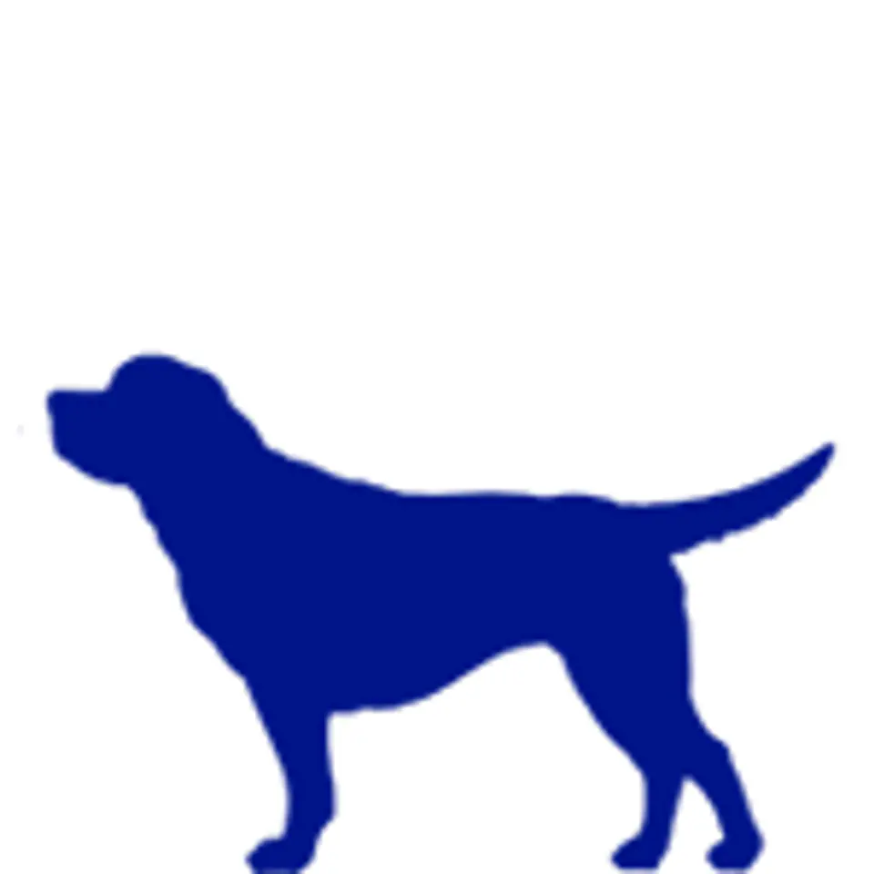 Fish4 Dogs Sweet Potato 100grs  3