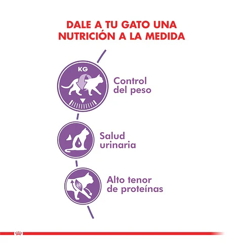 Royal Canin Alimento Seco Gato Adulto Regular Sterilised
