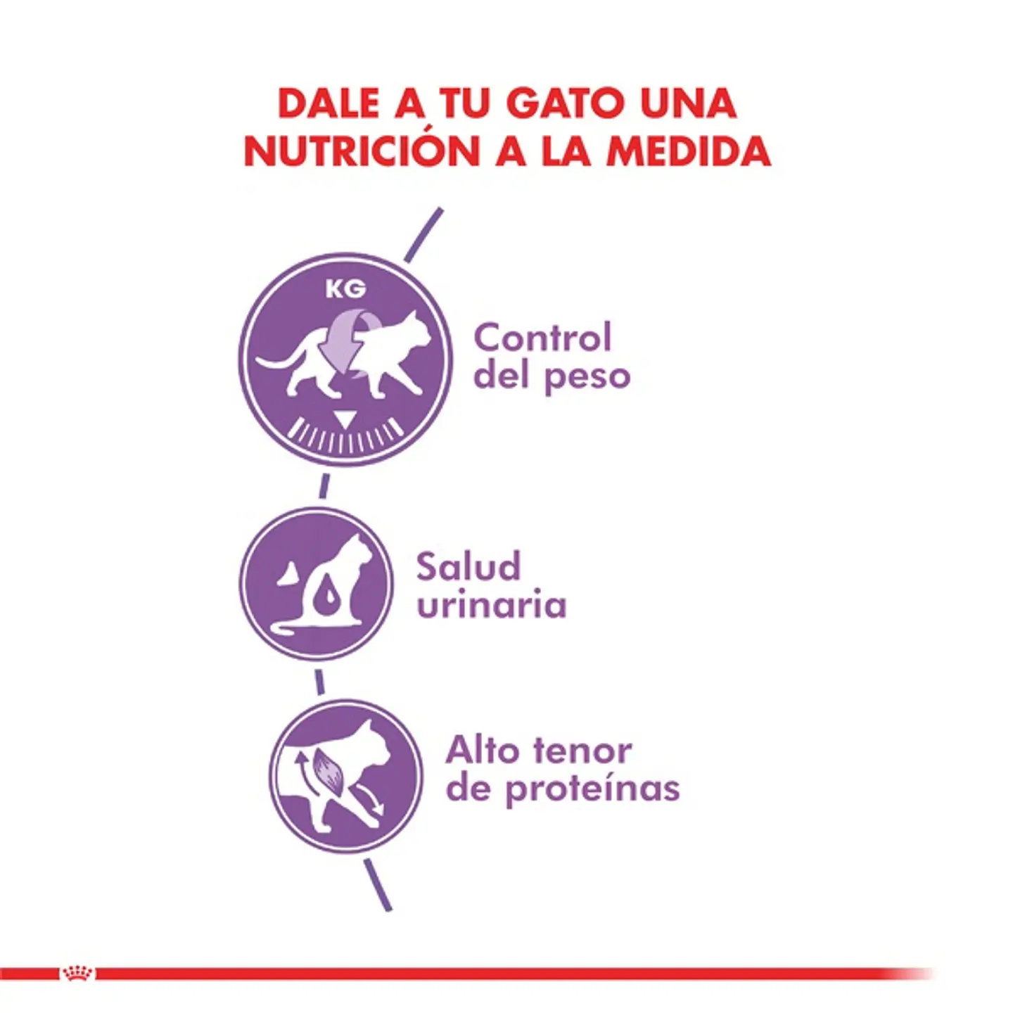 Royal Canin Alimento Seco Gato Adulto Regular Sterilised 2