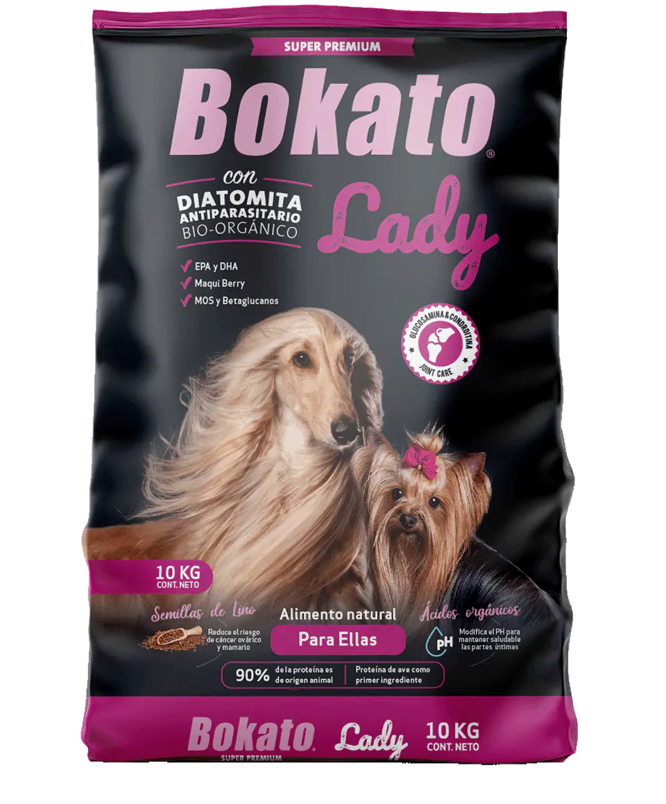 Bokato Lady  1