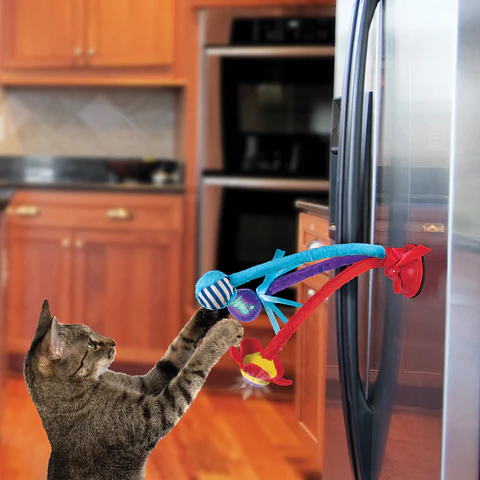 Kong Connects Spring Cats 