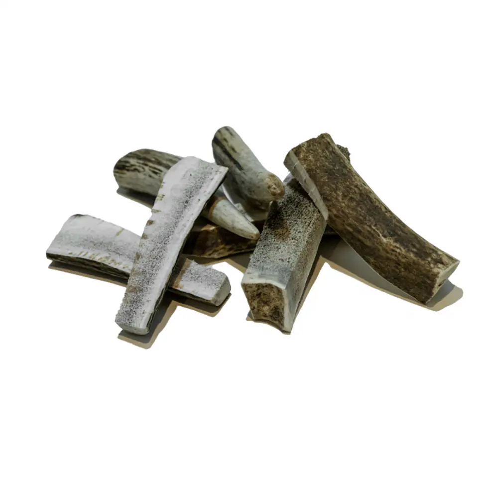 Hueso de Astas de Ciervo Doggo 1