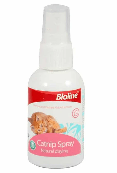 CatNip Spray 50ml 