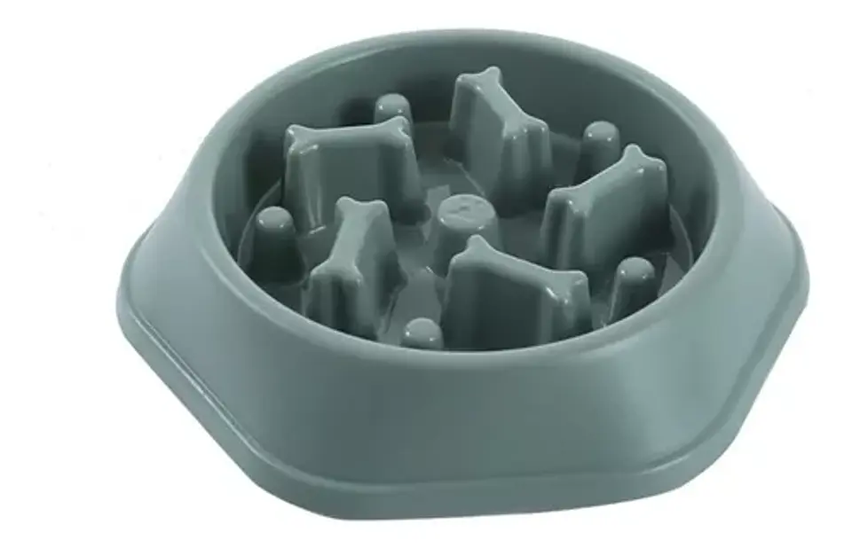 Plato Alimnetacion Lenta Huesos  1