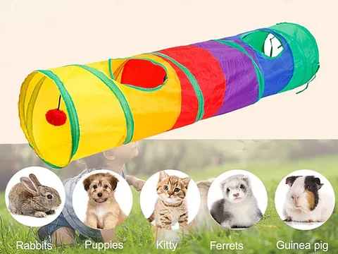 Tunel 2 Vias con Juguete 