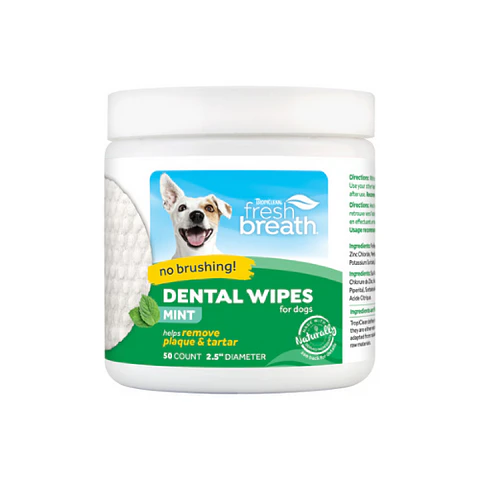 Dental Wipe 