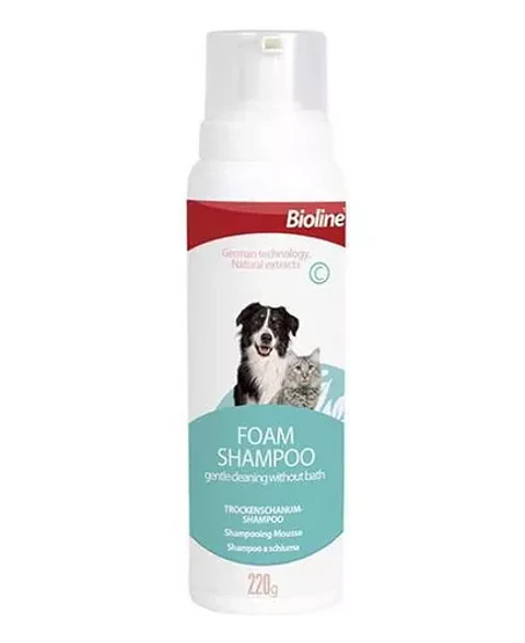 Shampoo De Espuna Seca 220grs 