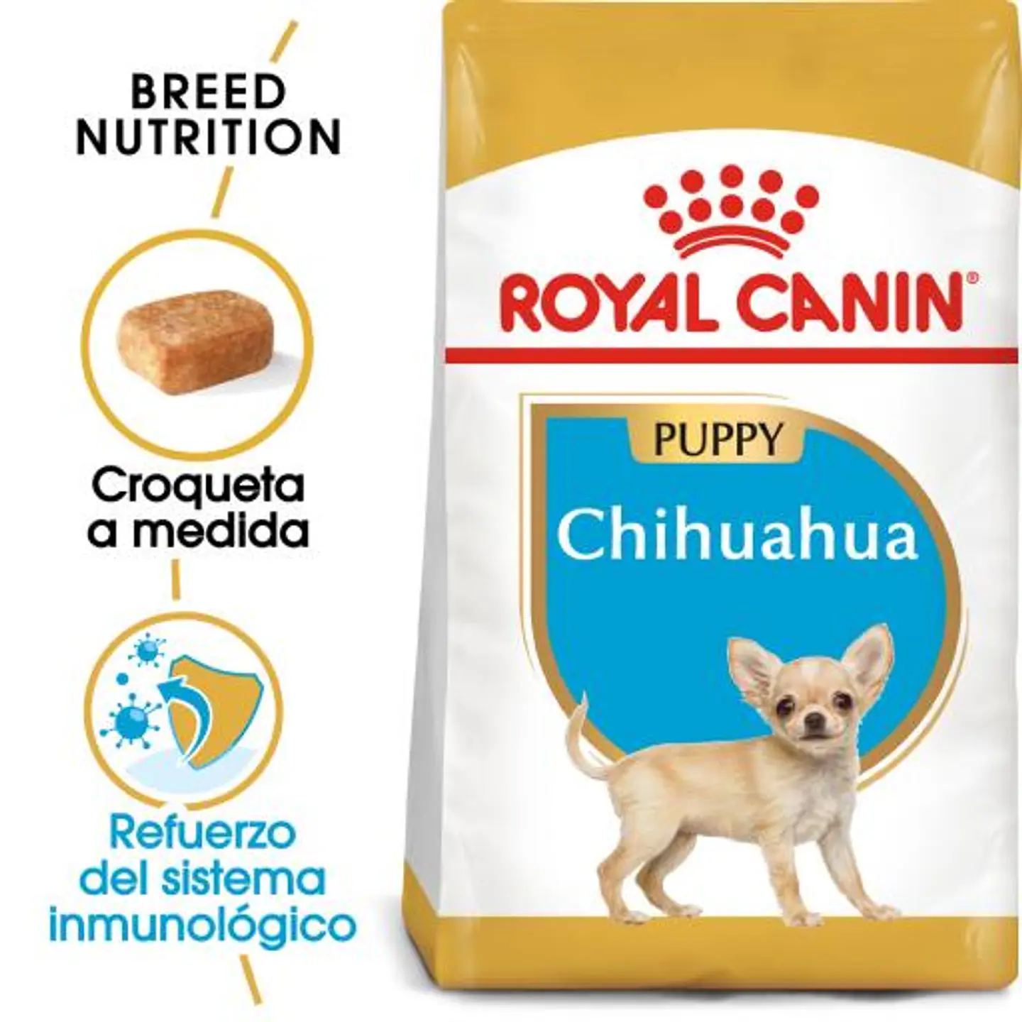 Royal Chihuahua Puppy 1K 1