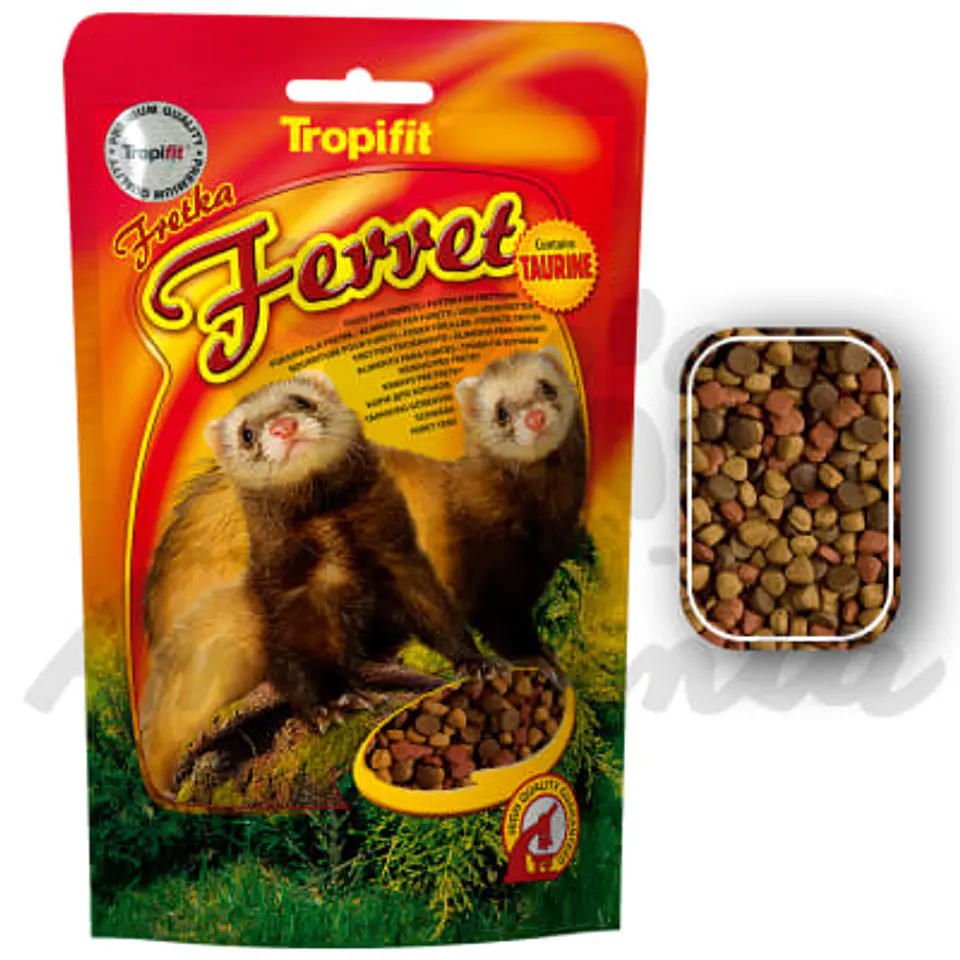 Tropifit Ferret  1