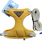 Arne Razas Pequeñas Woner Dog Cat - Miniatura 1