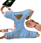 Arne Razas Pequeñas Woner Dog Cat - Miniatura 3