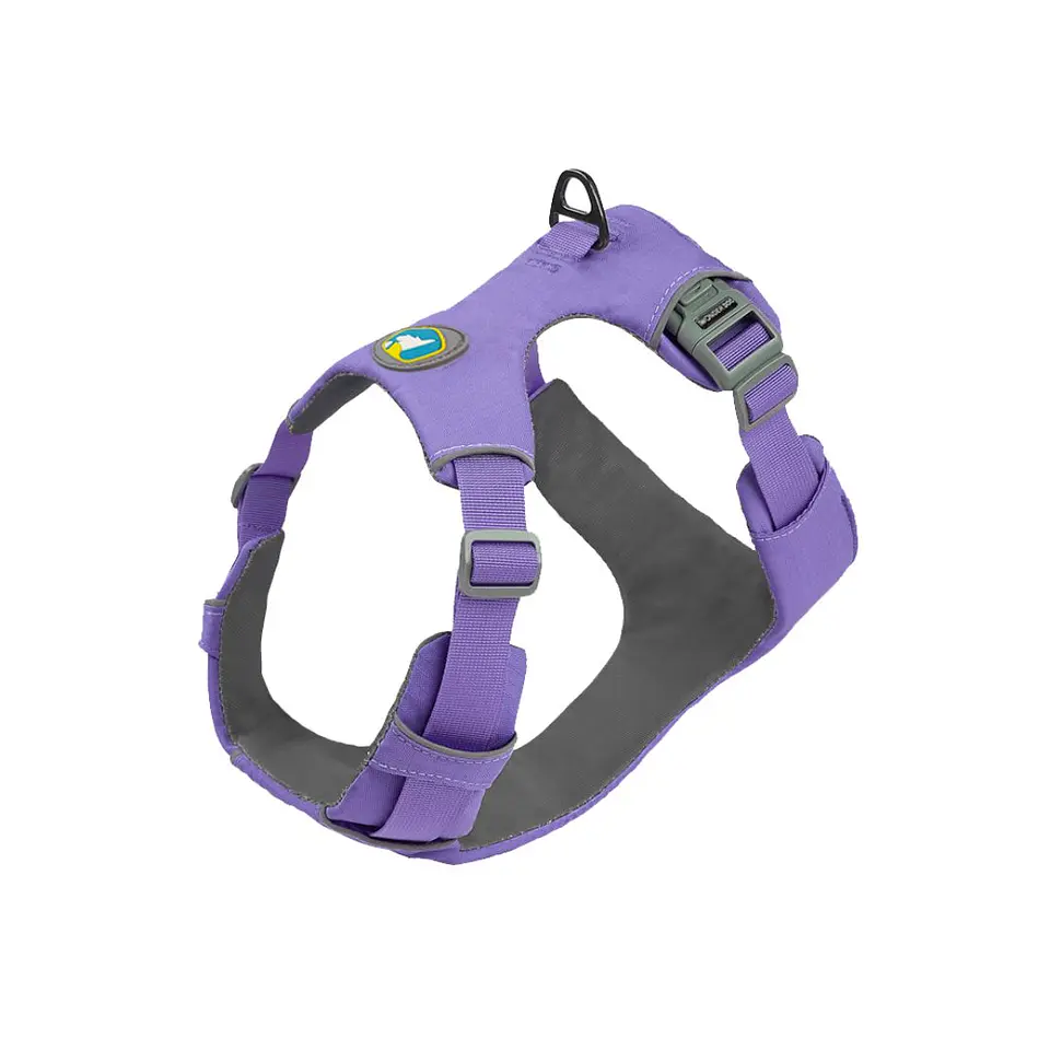 Arne Wonder Dog Talla L Morado Y azul 1